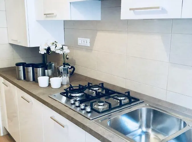 公寓 Central Apartment *